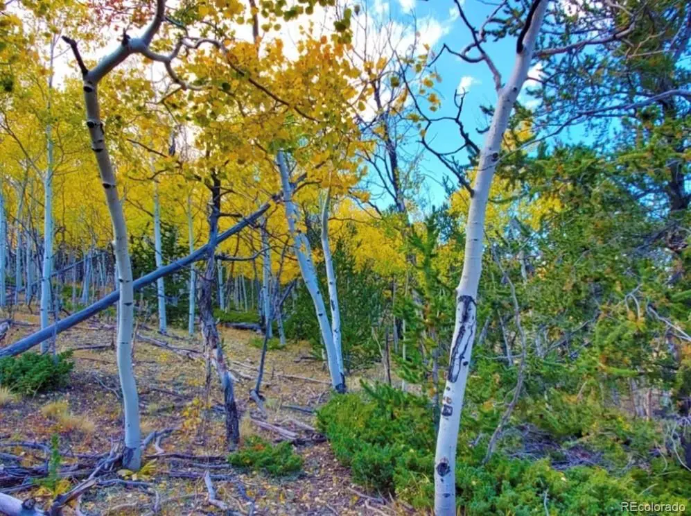 2000 Hard Hickory TRL, Guffey, CO 80820