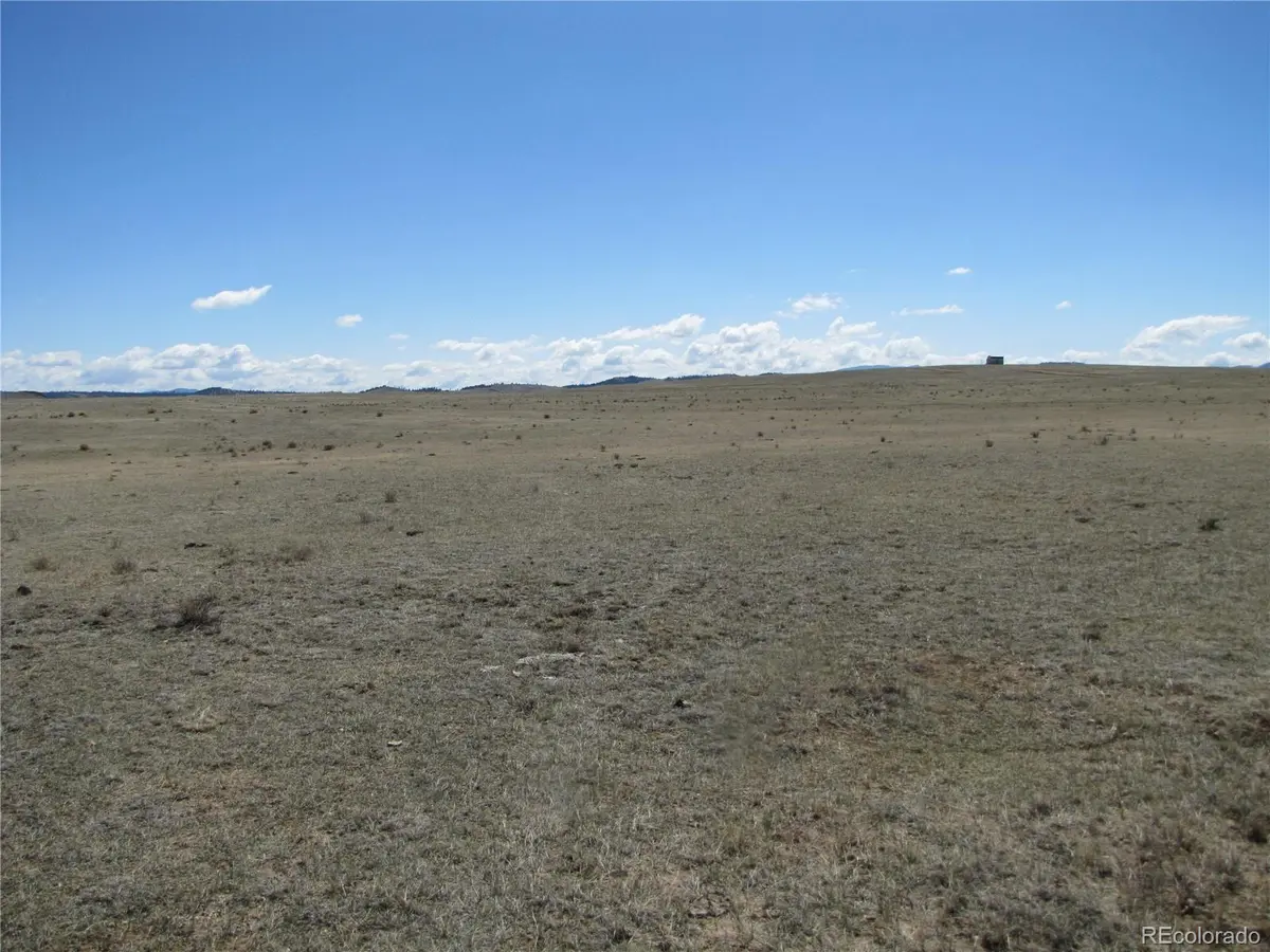 1642 Wasatch RD, Hartsel, CO 80449