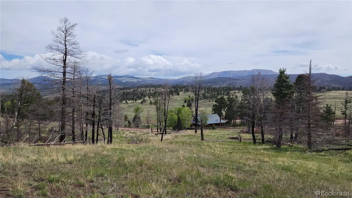 449 Duckworth DR, Fort Garland, CO 81133