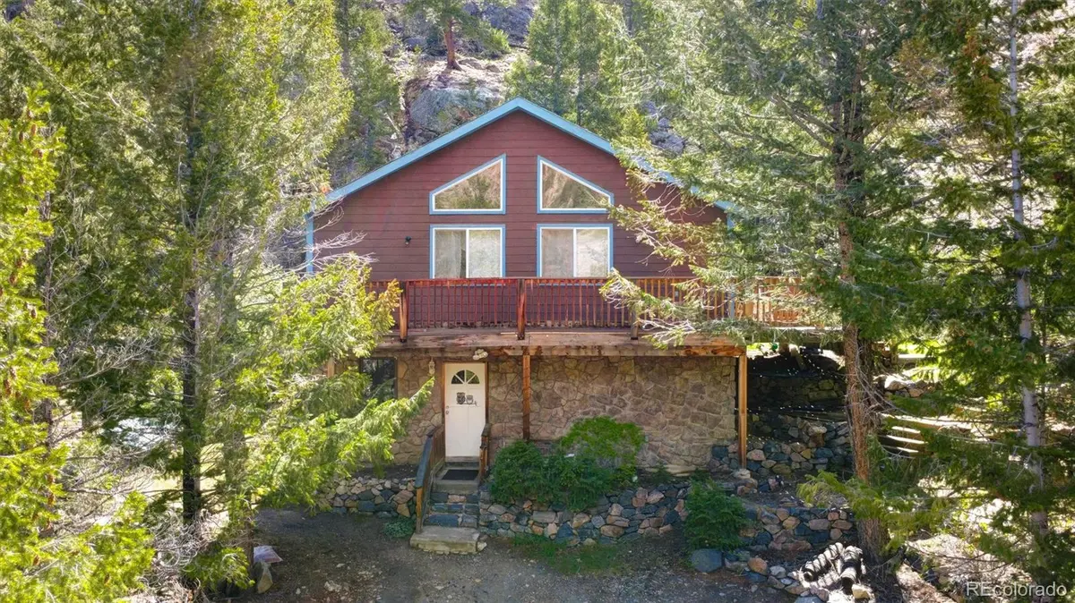 1206 Biddle ST, Georgetown, CO 80444