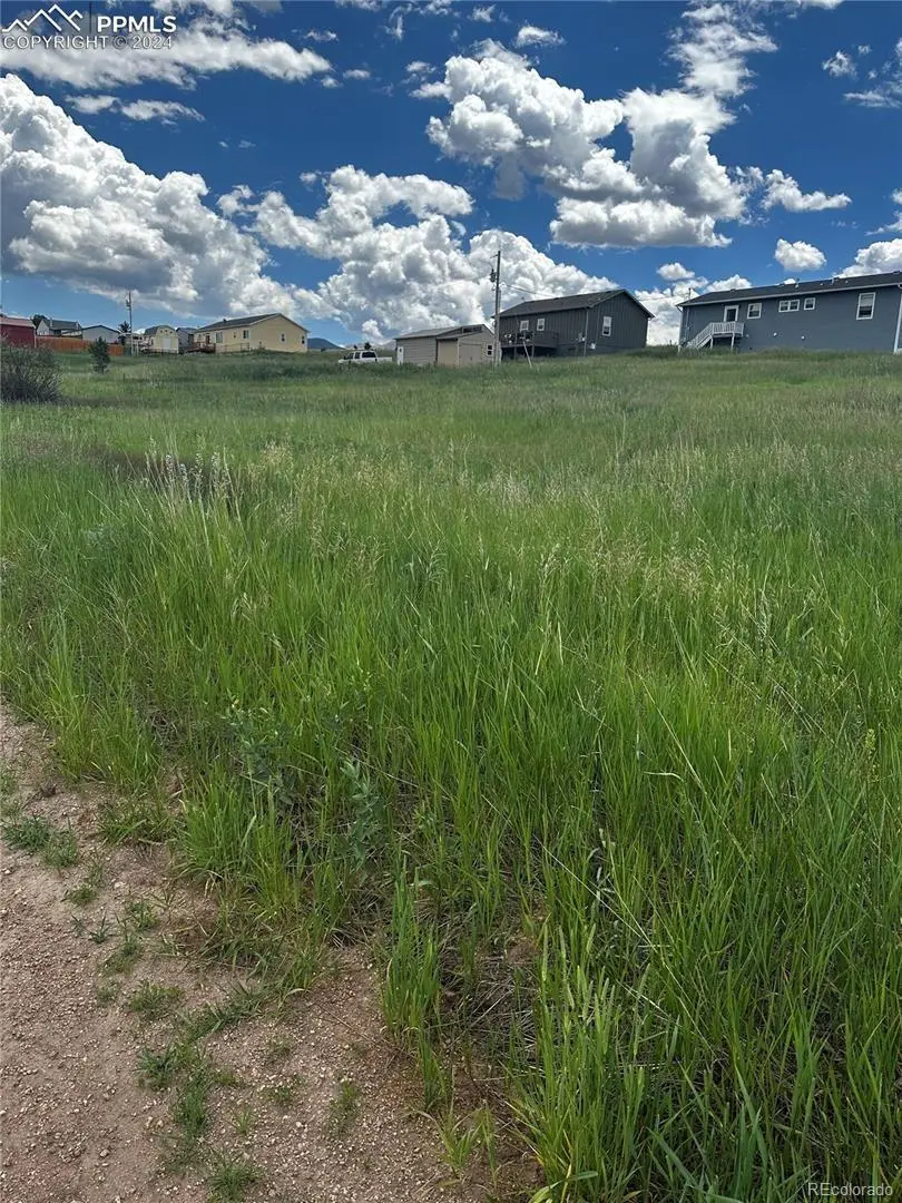 1298 Will Scarlet DR, Divide, CO 80814