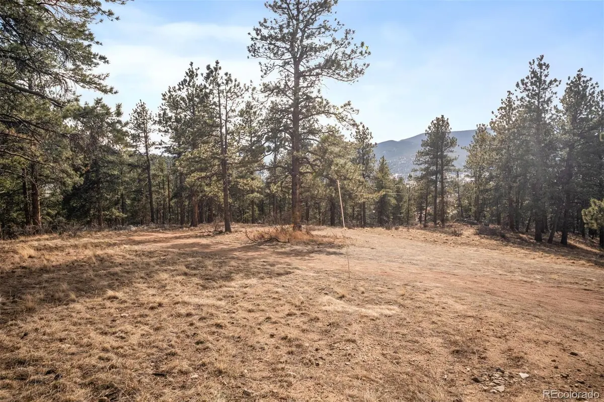 260 Bailey DR, Bailey, CO 80421