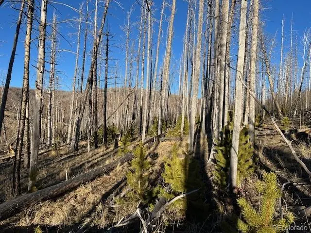 Lot 1502 Vonheyl LN, Fort Garland, CO 81133