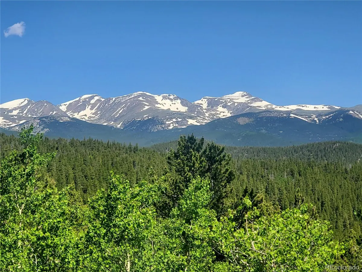01 S Spring Gulch RD, Idaho Springs, CO 80452