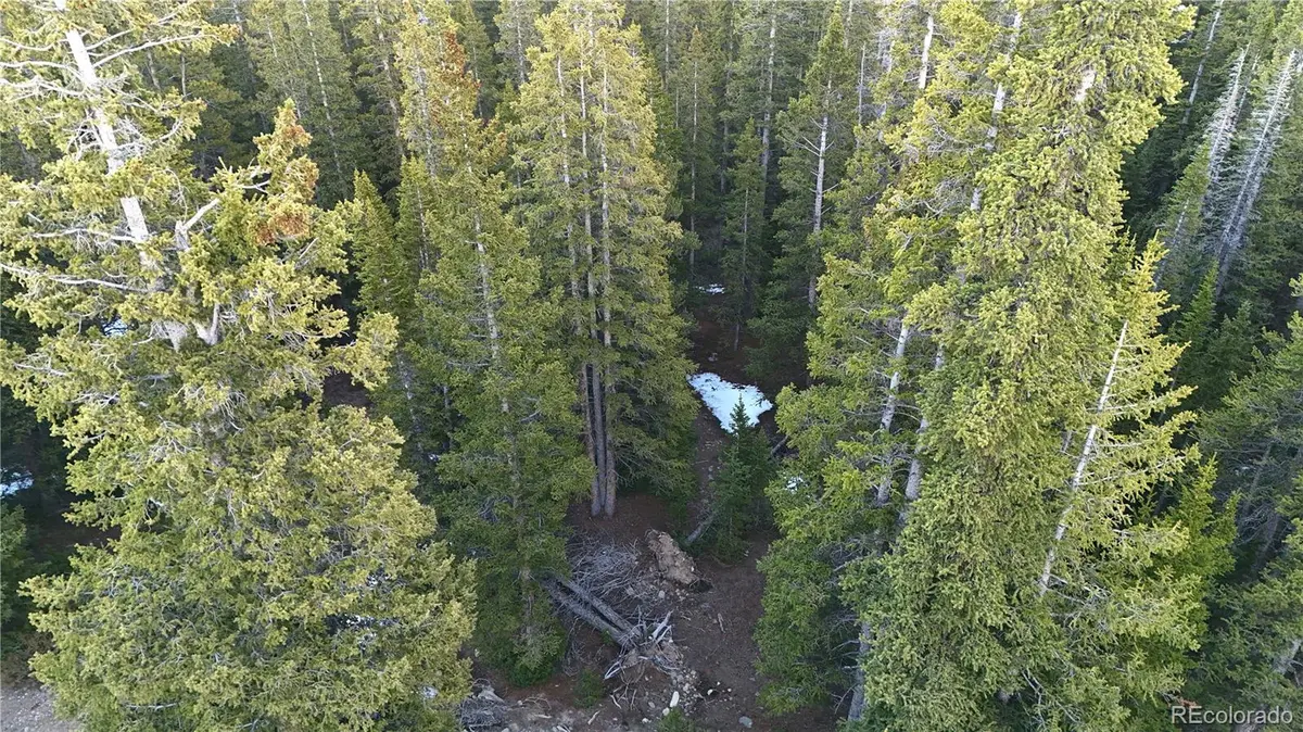 252 Silverheels PL, Fairplay, CO 80440