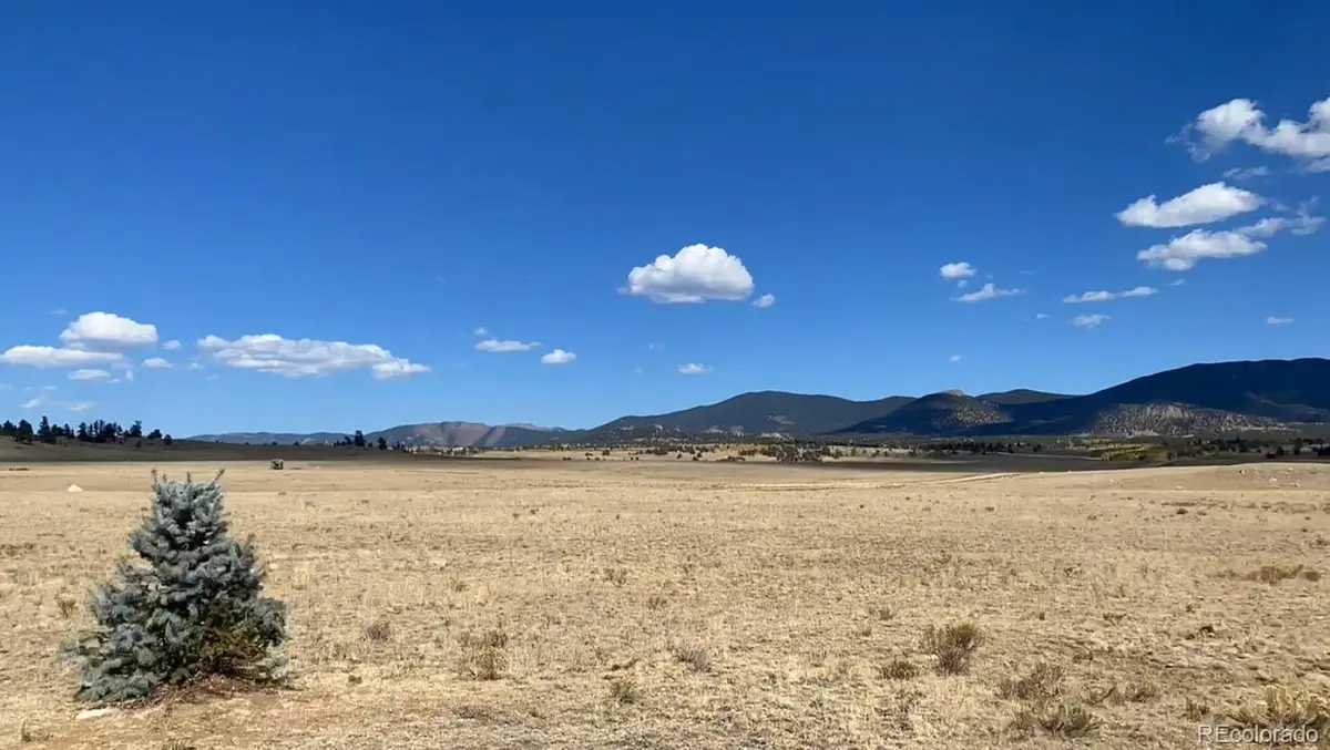 878 Cheyenne TRL, Hartsel, CO 80449