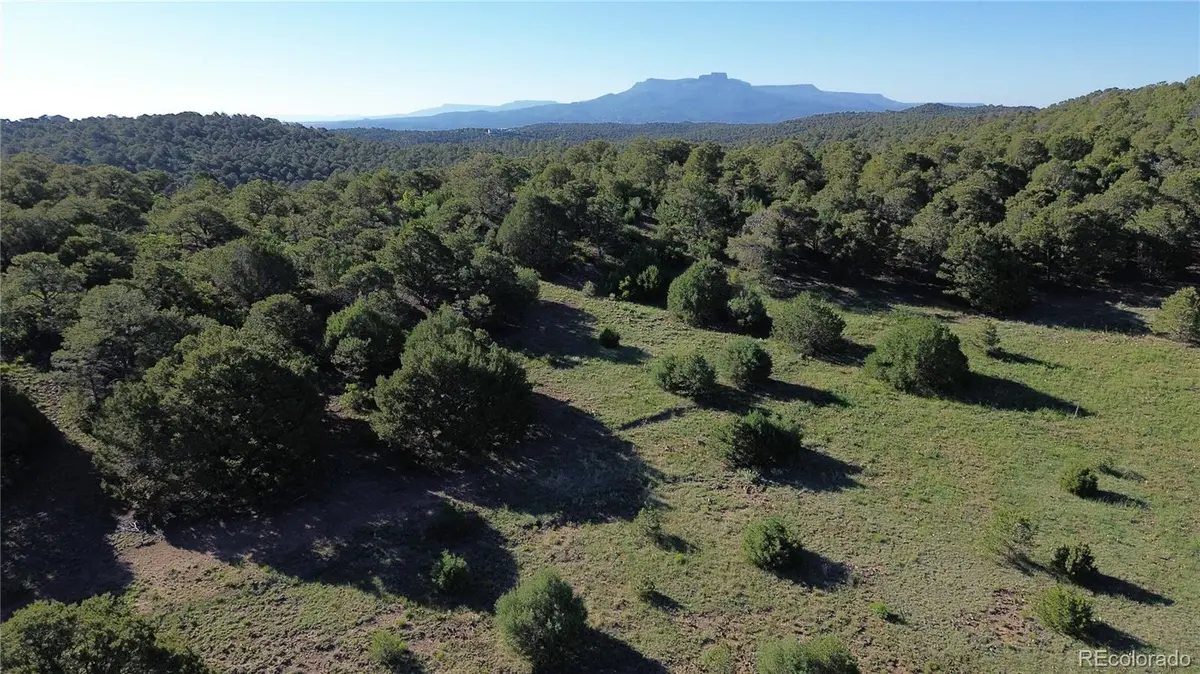 16198 Picketwire RD, Trinidad, CO 81024