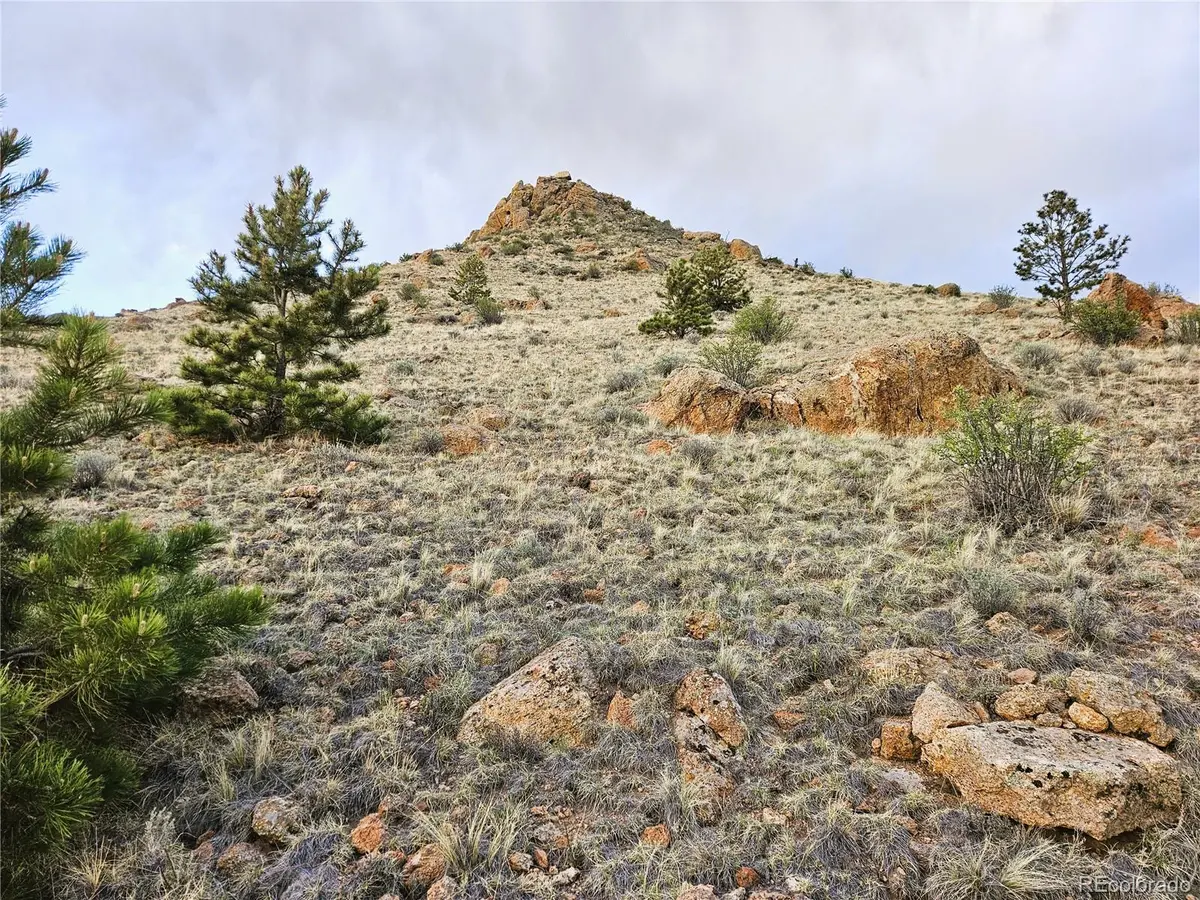 PCS#25468 Sioux RD, Hartsel, CO 80449