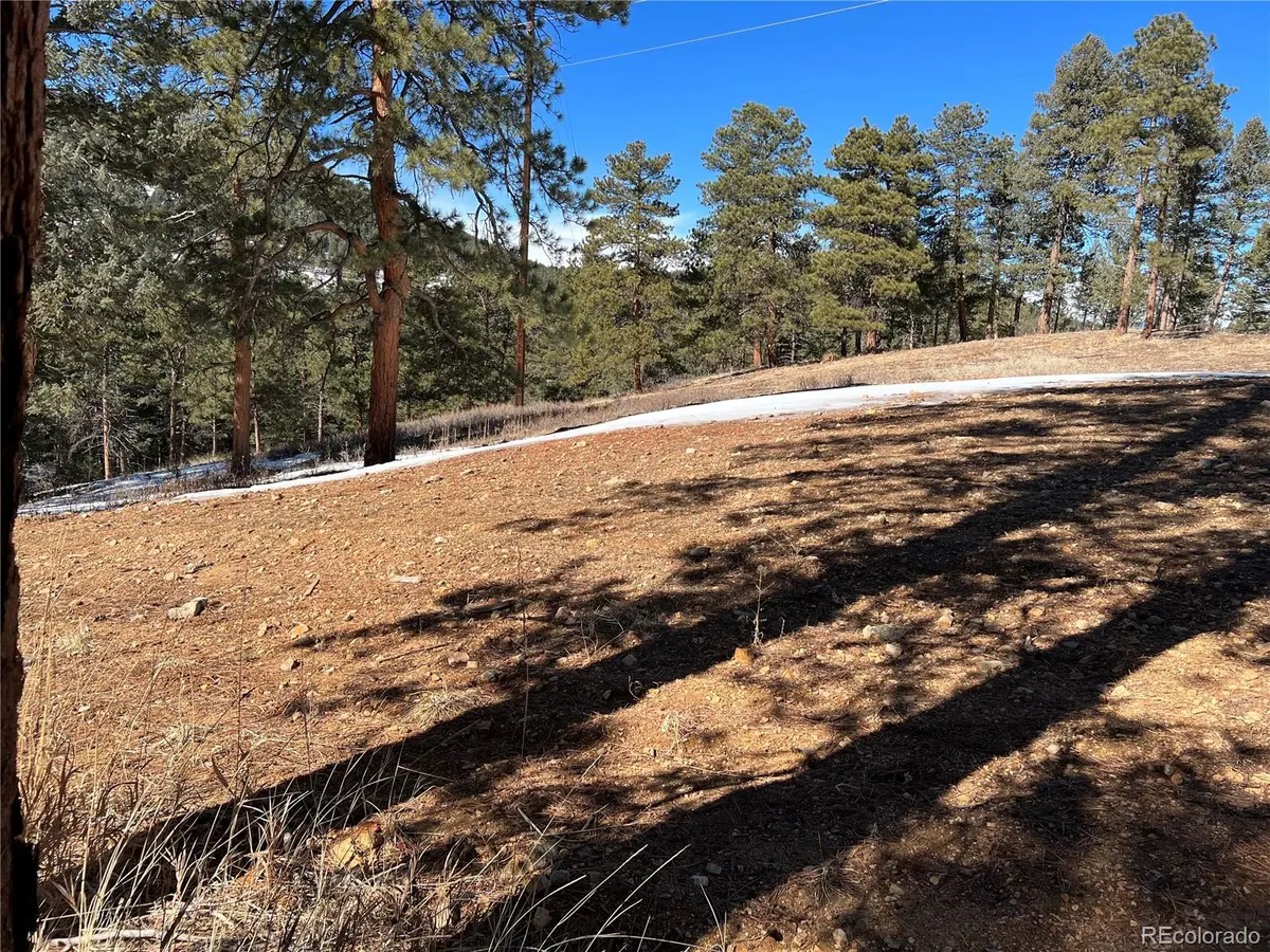 Lot 1 Iowa Gulch RD, Morrison, CO 80465