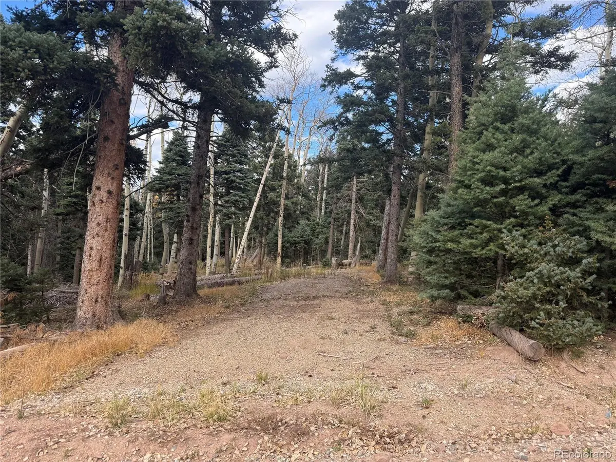 2662 Petito DR, Fort Garland, CO 81133