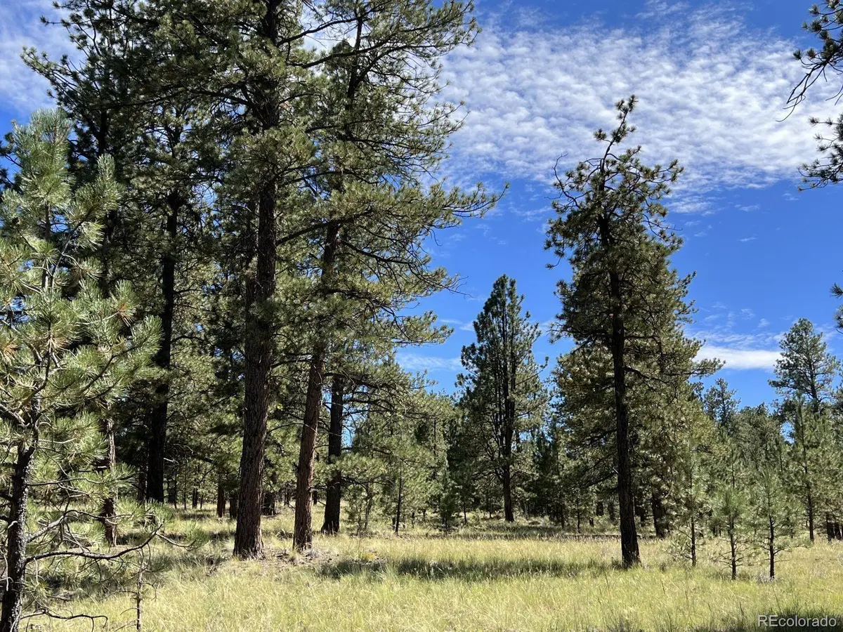 82 Kiowa CIR, Westcliffe, CO 81252