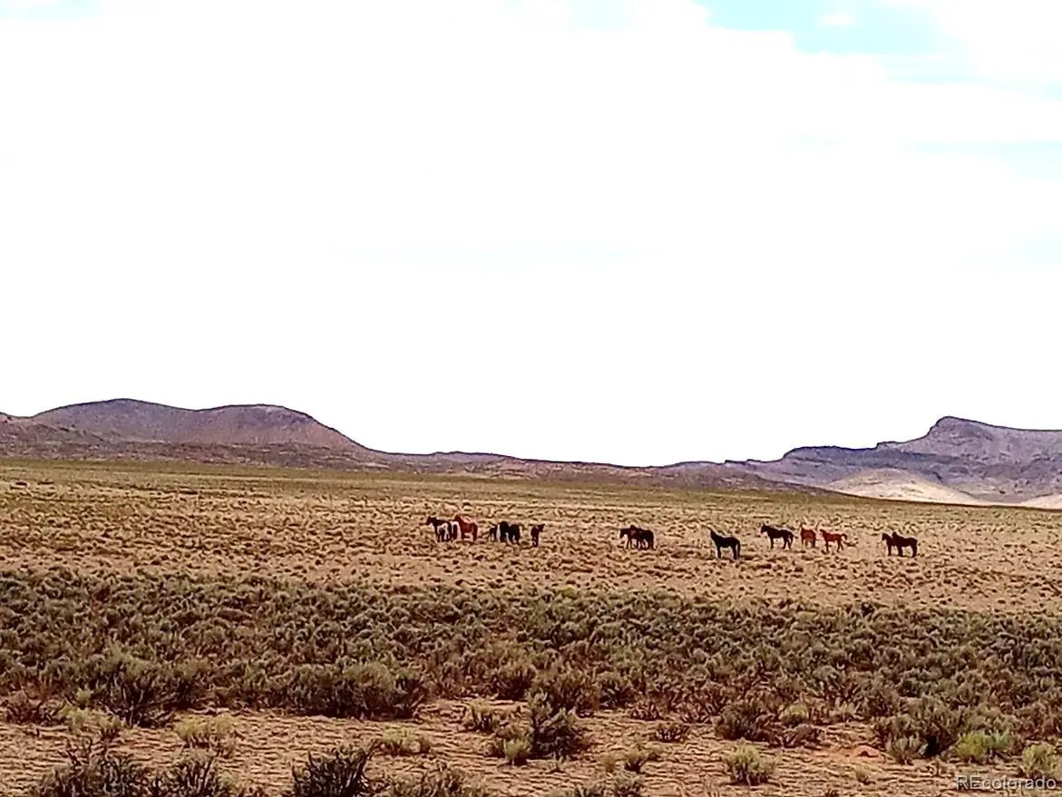 40 acres County Rd 27, San Acacio, CO 81151