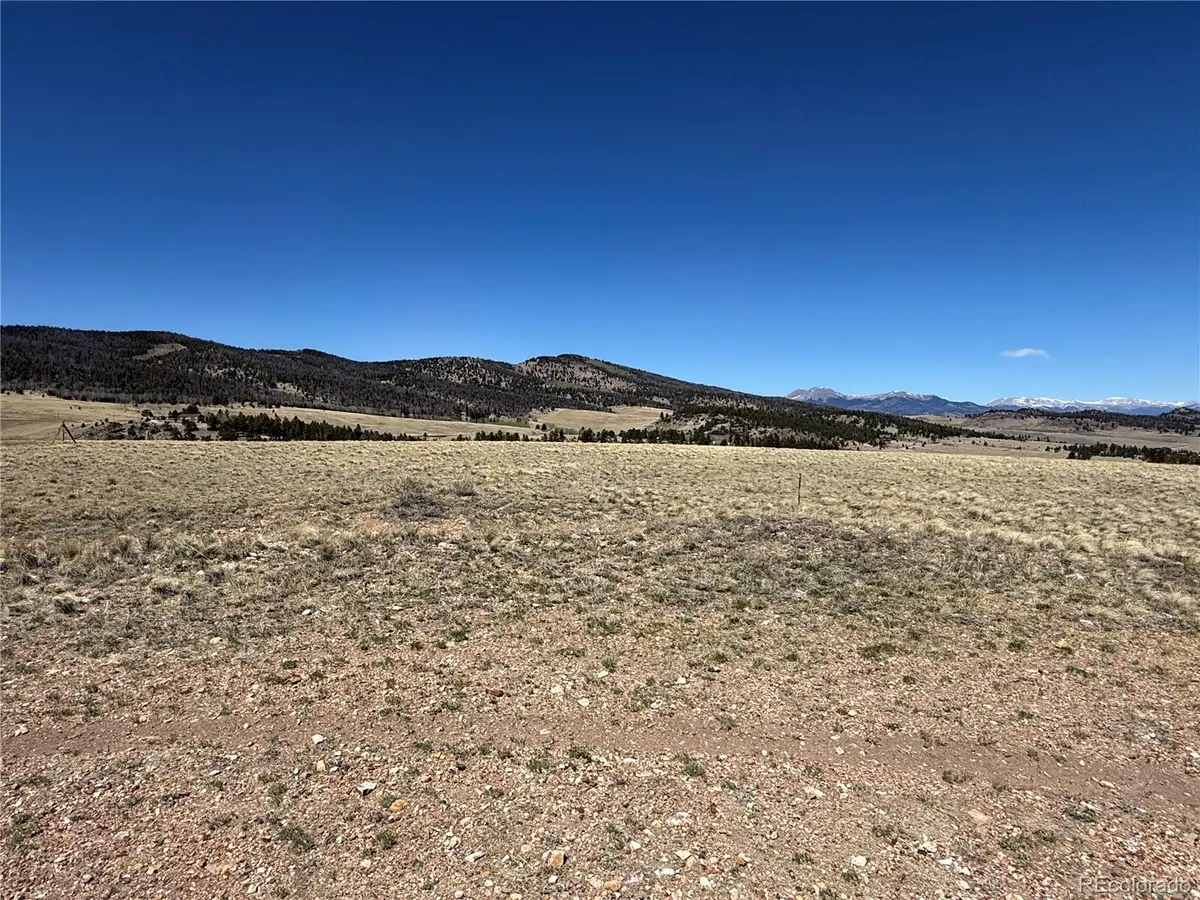 197 Baler CT, Hartsel, CO 80449