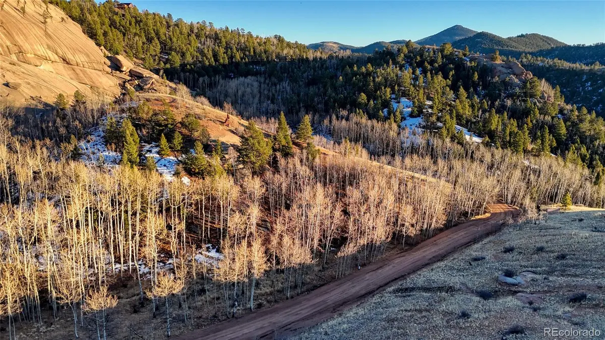 524 Buckhorn RD, Cripple Creek, CO 80813