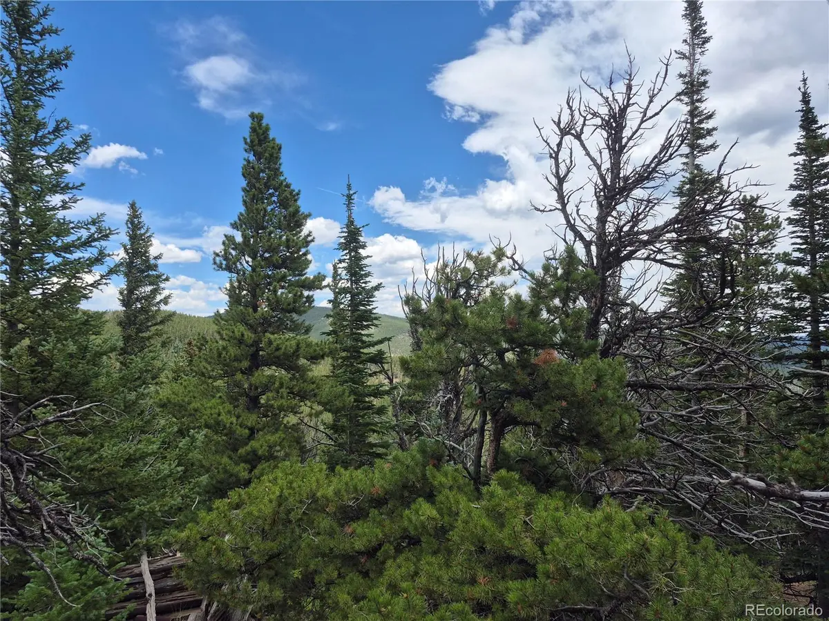 1900 County Road 128J, Nederland, CO 80466