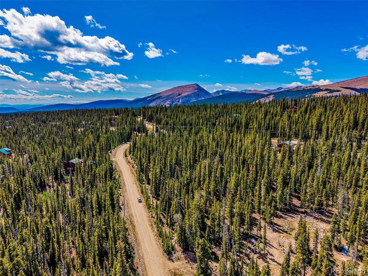 245 El Lobo LN, Fairplay, CO 80440