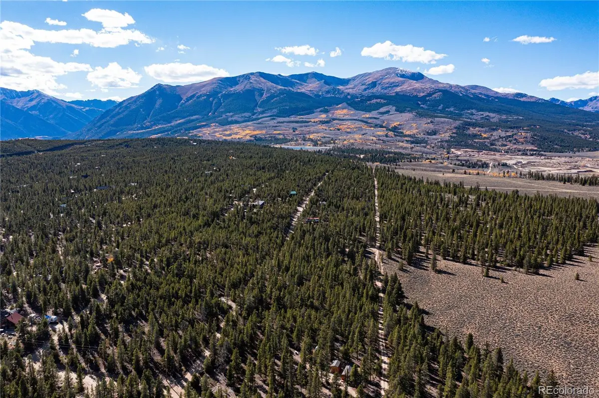 66 Ponderosa DR, Leadville, CO 80461