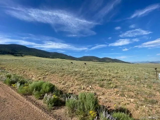 690 Eagle Gate RD, Westcliffe, CO 81252
