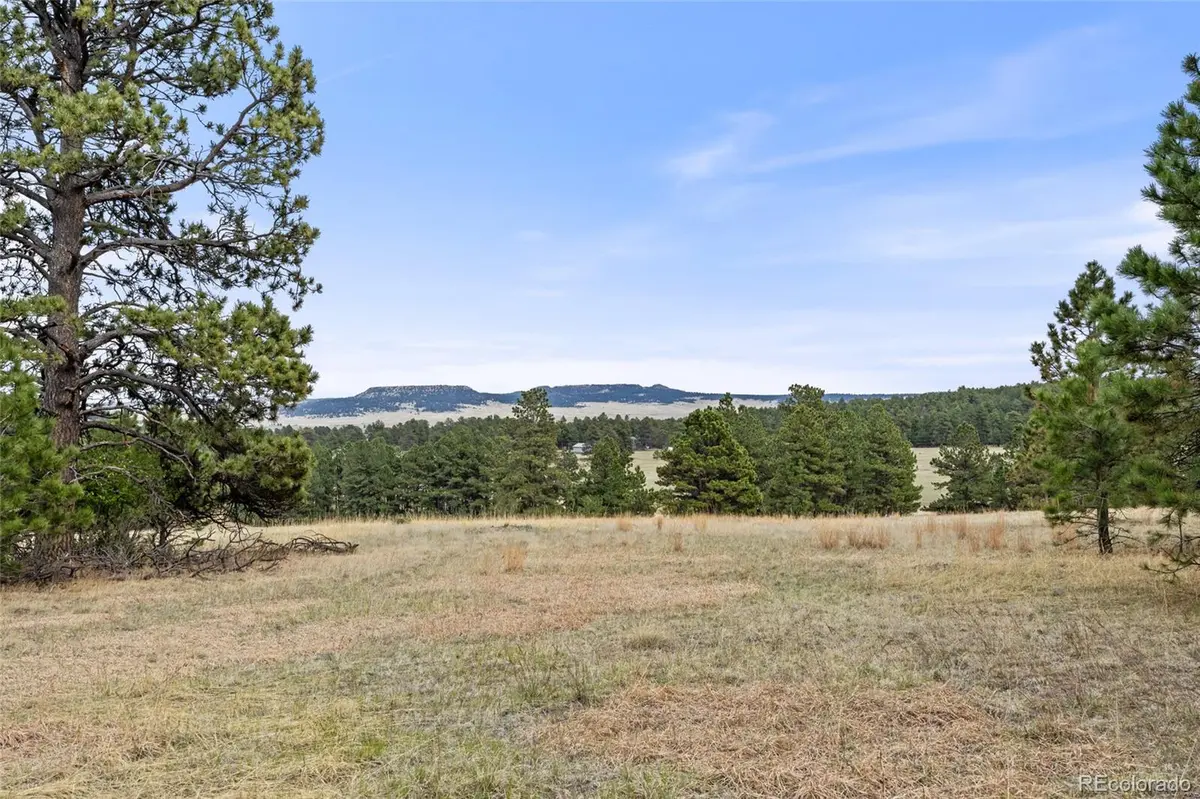 8653 N Teacup RD, Elbert, CO 80106