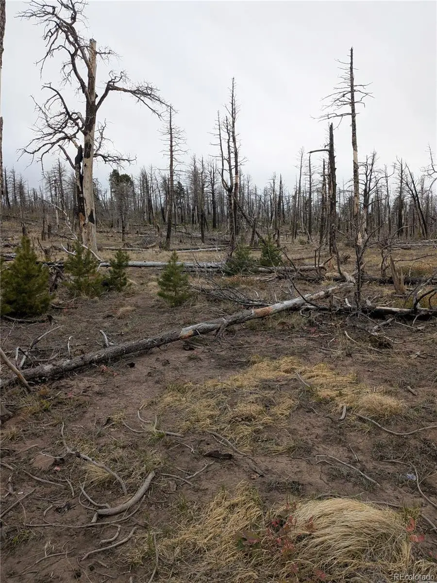 Lot 2296 Wohlstetter Loop, Fort Garland, CO 81133