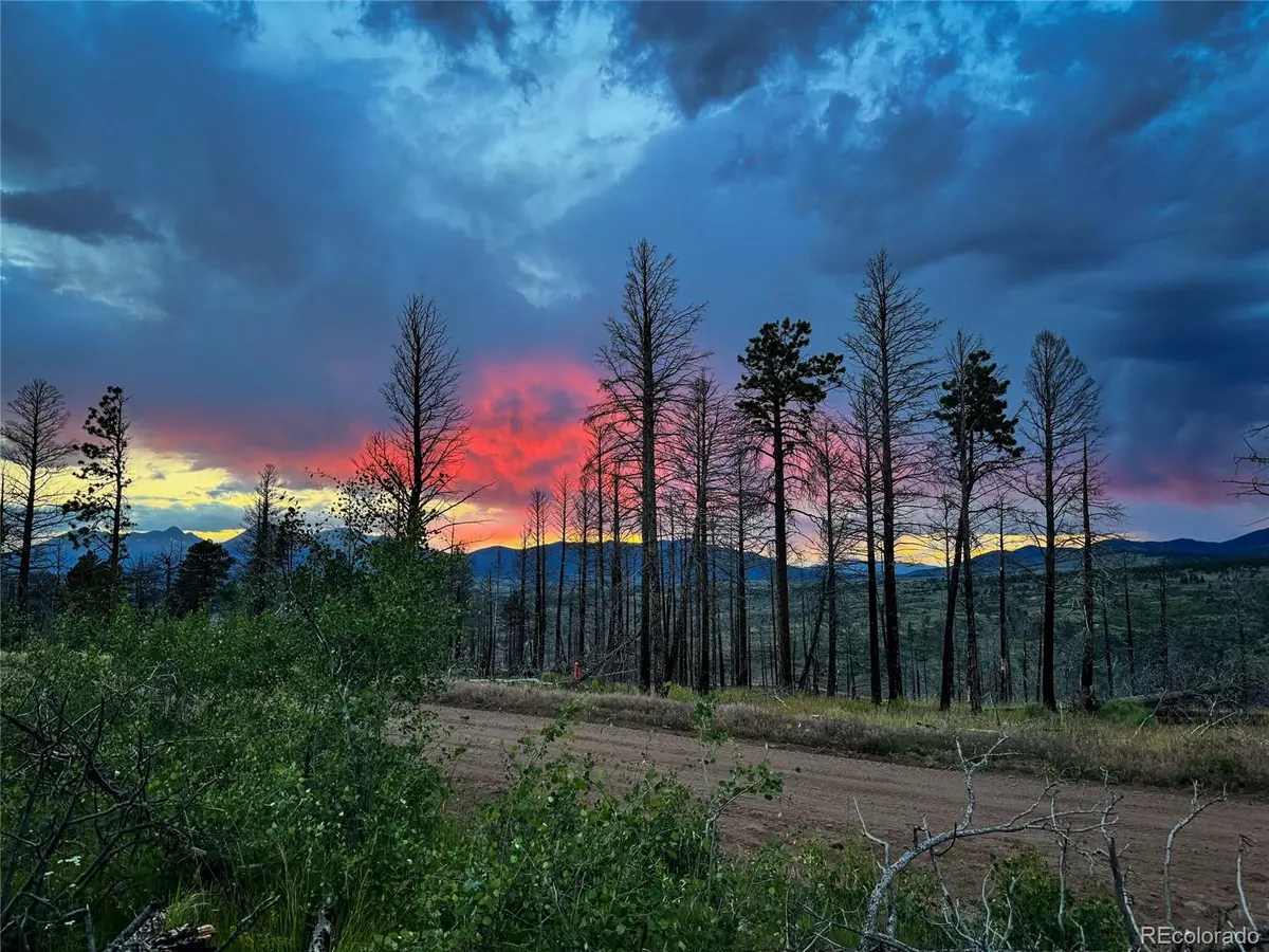 LOT 591 Leslie LOOP, Fort Garland, CO 81133