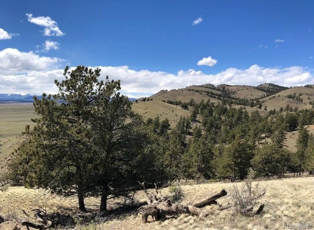 Lot 11 Willow ST, Hartsel, CO 80449