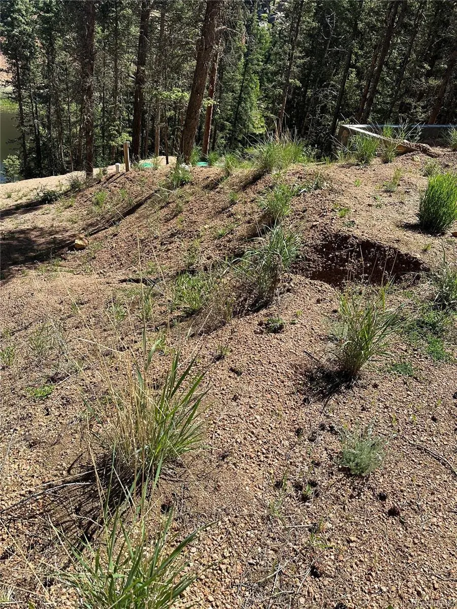 67 Gerka LN, Florissant, CO 80816