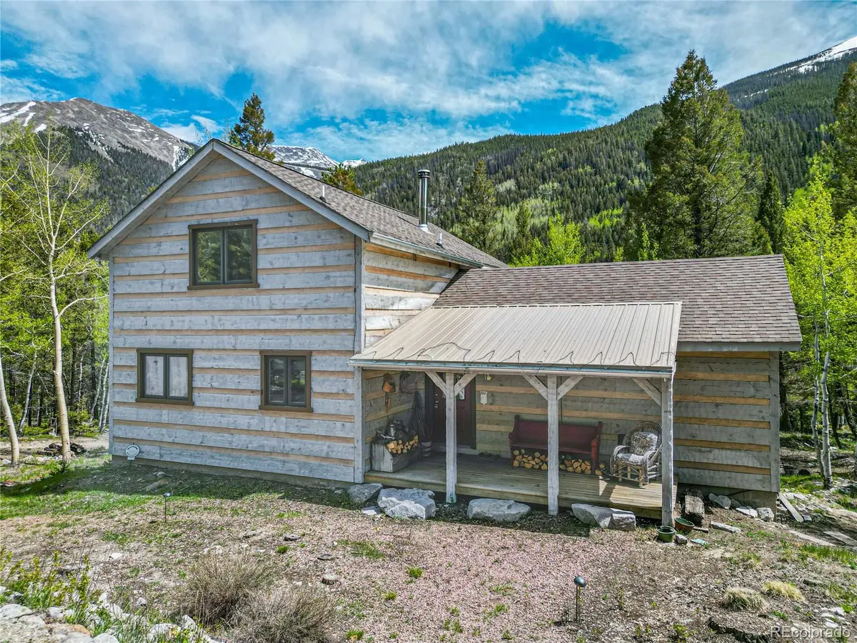 22590 County Road 292a, Nathrop, CO 81236
