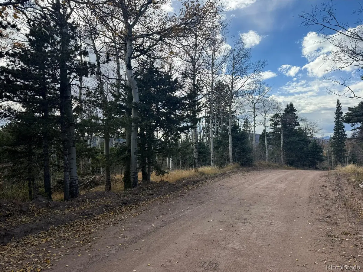 2663 Petito DR, Fort Garland, CO 81133