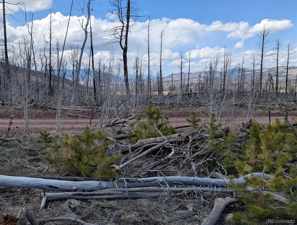 Lot 1882, Fort Garland, CO 81133