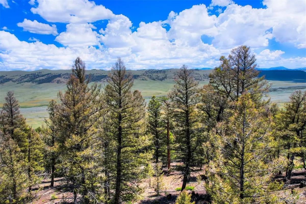 Lot 262 Middle Fork VIS, Fairplay, CO 80440