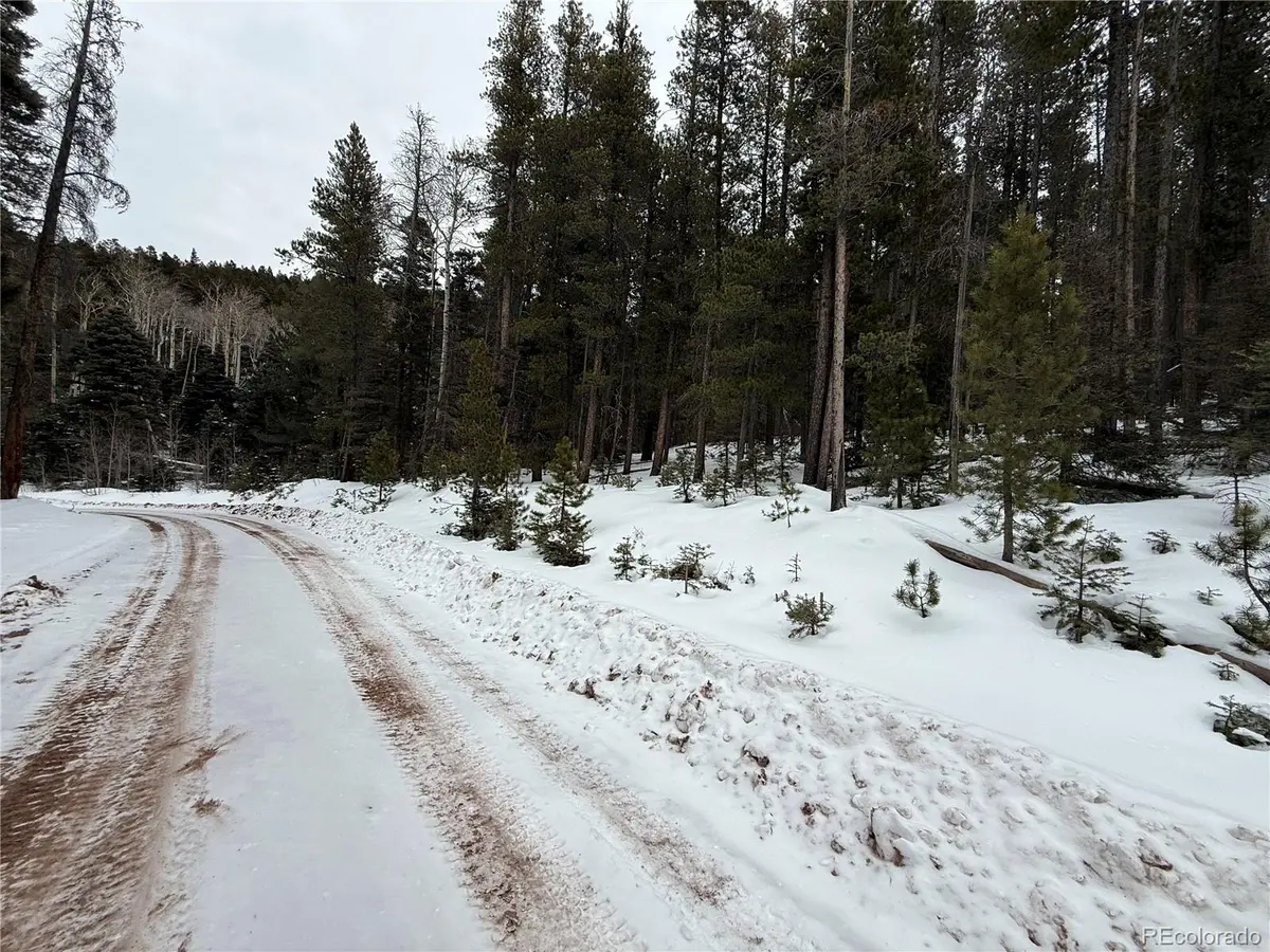 Lot 2805 Moir DR, Fort Garland, CO 81133