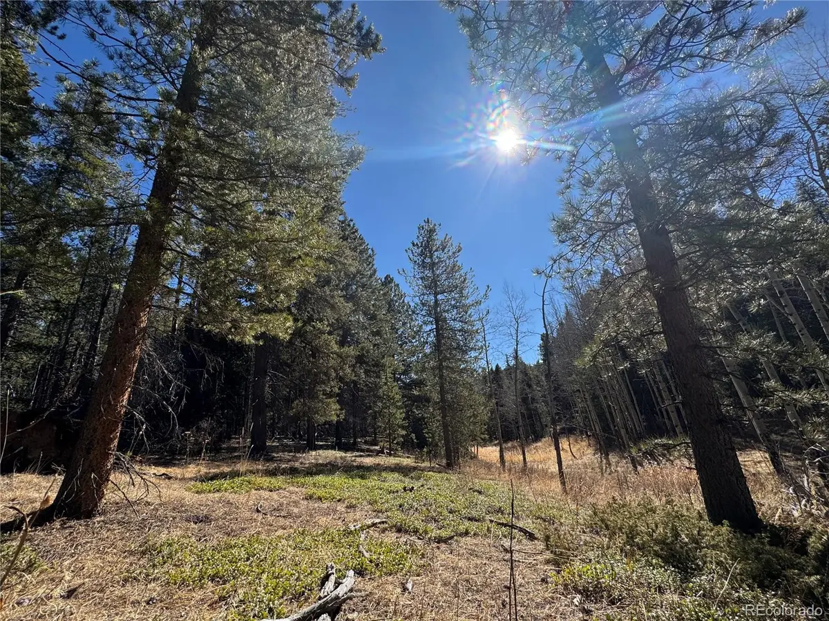 Lot 14X Wallace AVE, Conifer, CO 80433