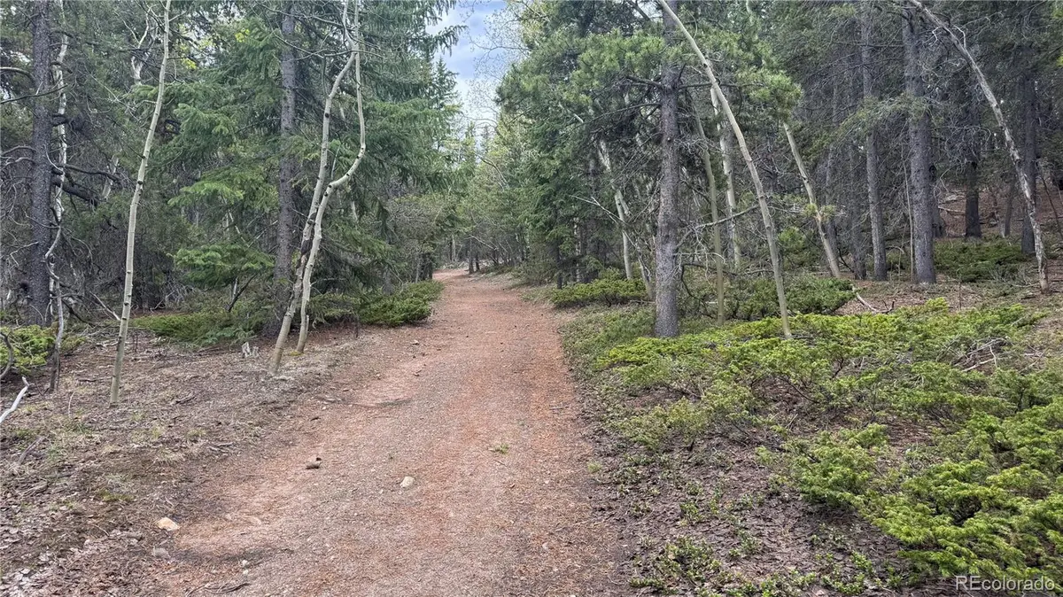 005 Roy Smith RD, Central City, CO 80427