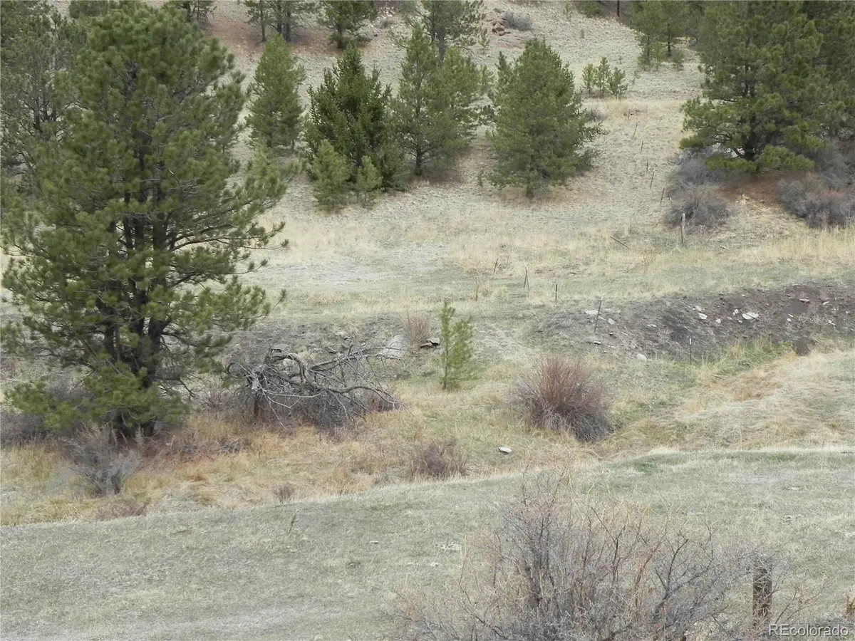 521 Monarch DR, Cripple Creek, CO 80813