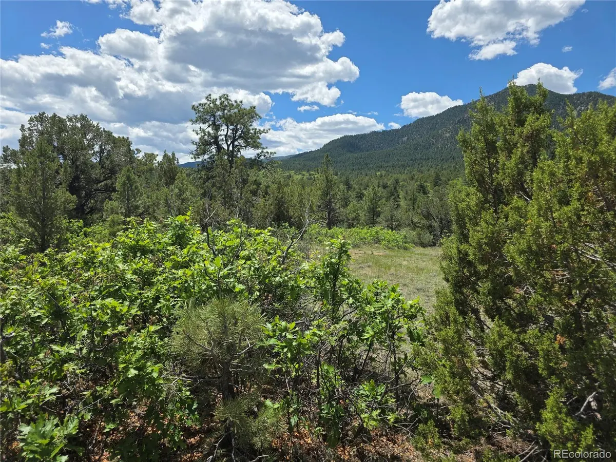 0 County Road 15, Florence, CO 81226