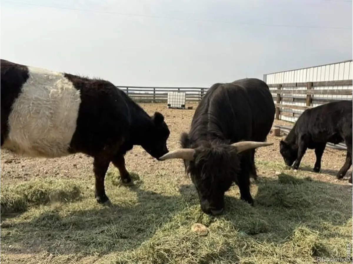 Lot G County Road 43 and 96 RD, Pierce, CO 80650