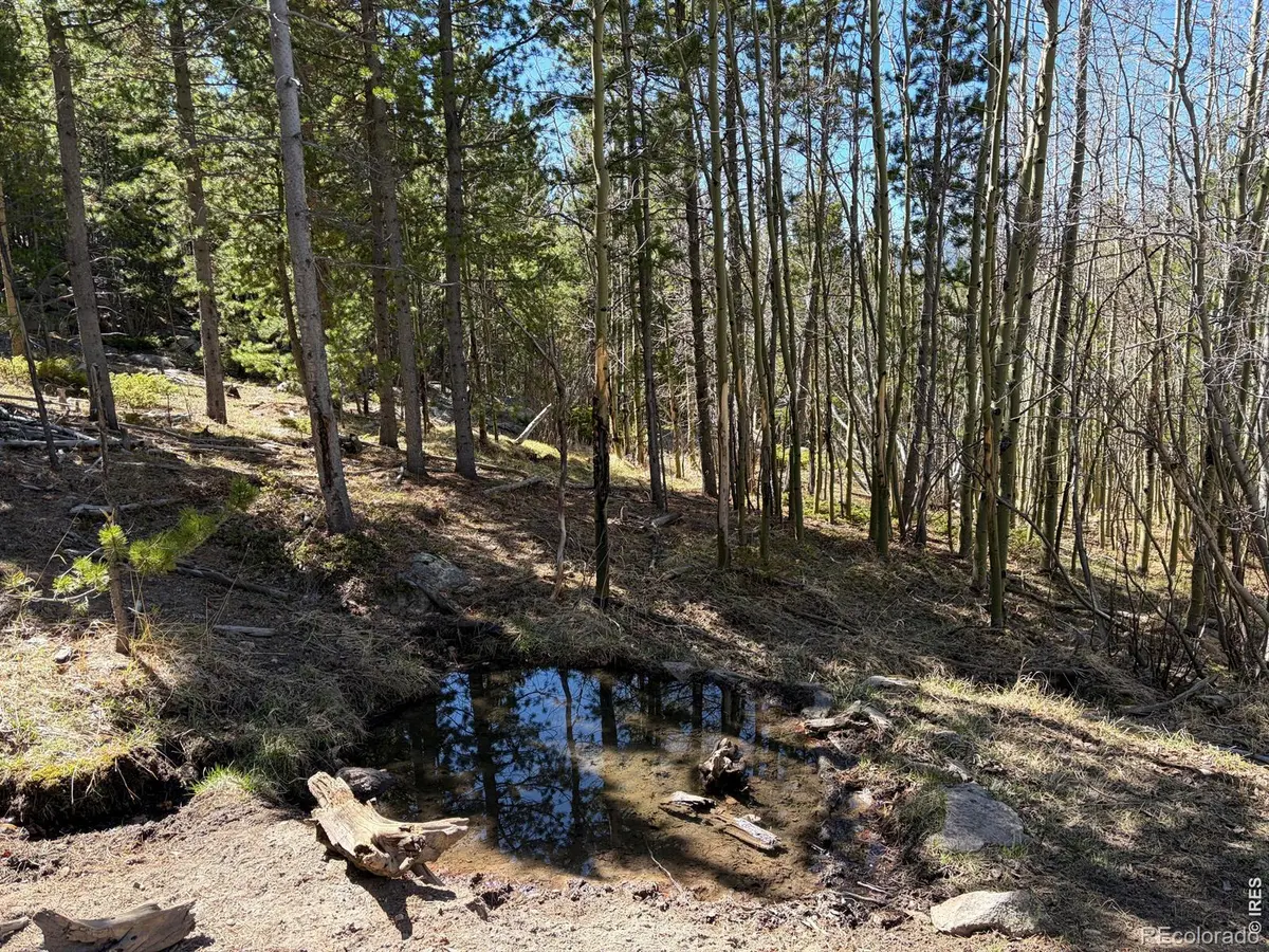0 Bear Gulch RD, Red Feather Lakes, CO 80545