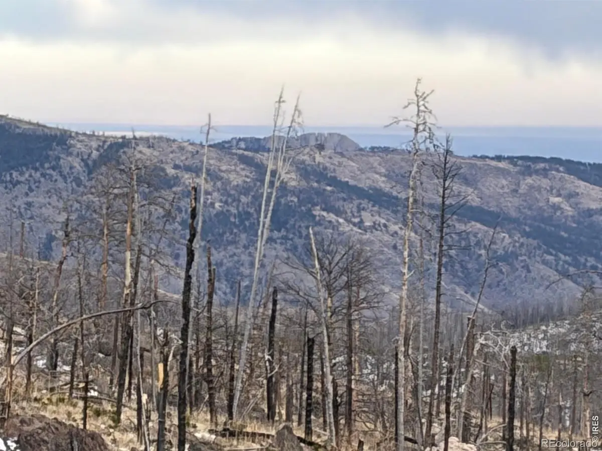2025 Granite RD, Bellvue, CO 80512