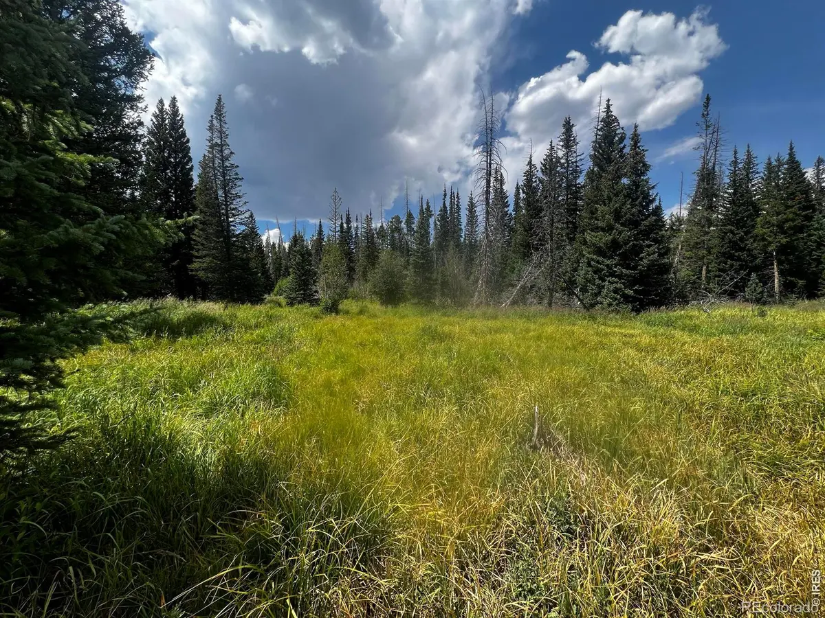 0 Forest Service RD #169, Red Feather Lakes, CO 80545