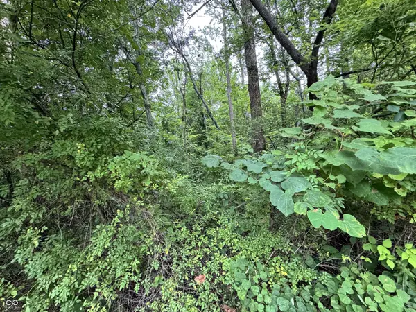 0 Park Hill DR, Spencer, IN 47460