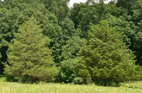 4203 Moorman RD, Batesville, IN 47006