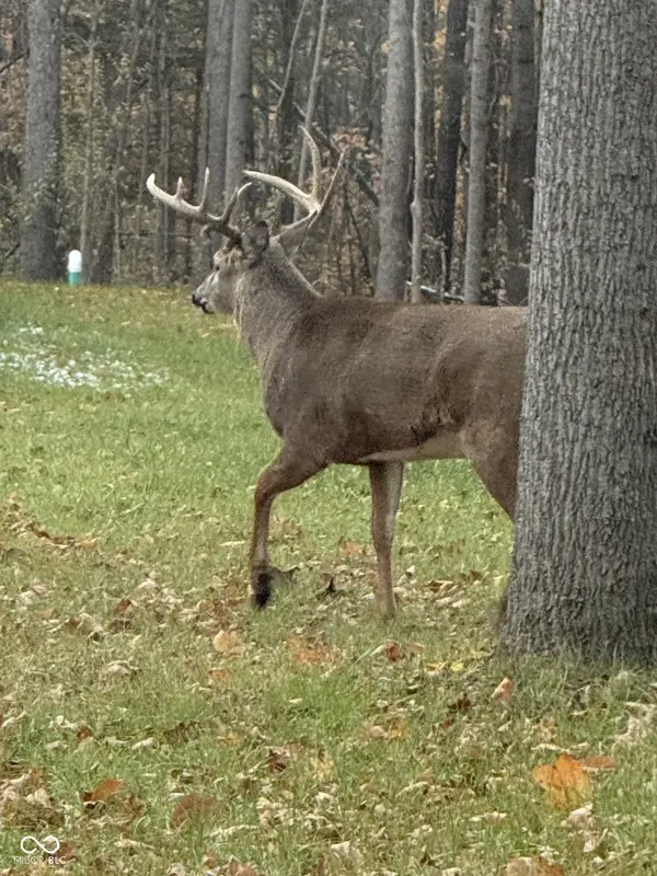 00 W Cardinal, Rockville, IN 47872