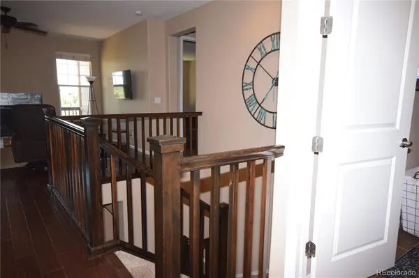 15982 St Paul ST, Brighton, CO 80602