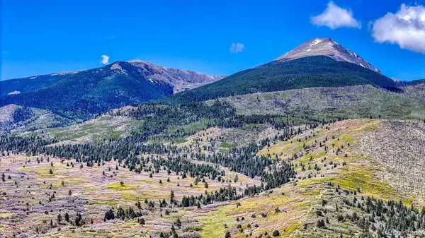 2269 Running Bear, Cotopaxi, CO 81223