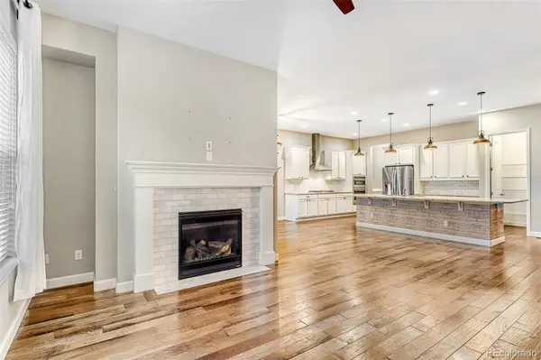9894 Eagle River ST, Littleton, CO 80125