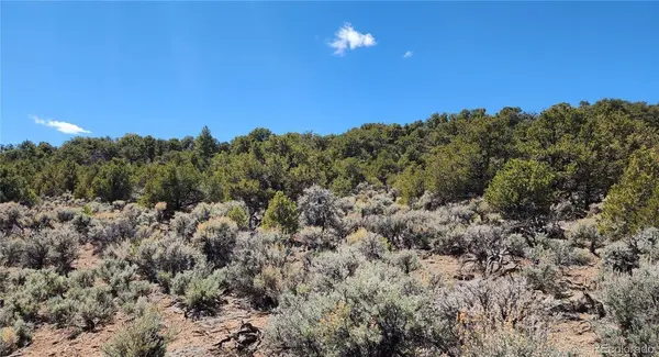 Lot 48 Erin the Red RD, San Luis, CO 81152