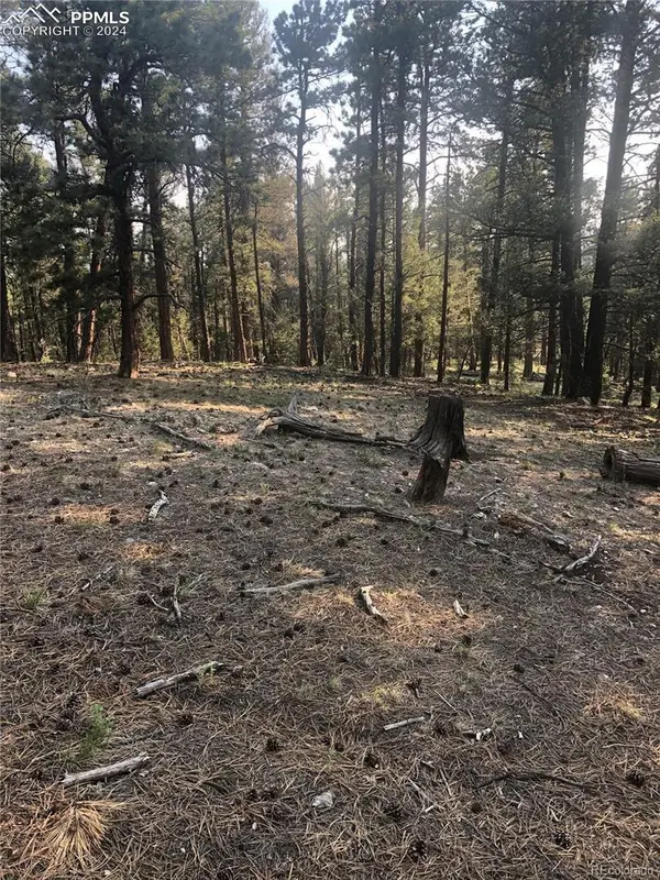 469 Echo Lake DR, Lake George, CO 80827