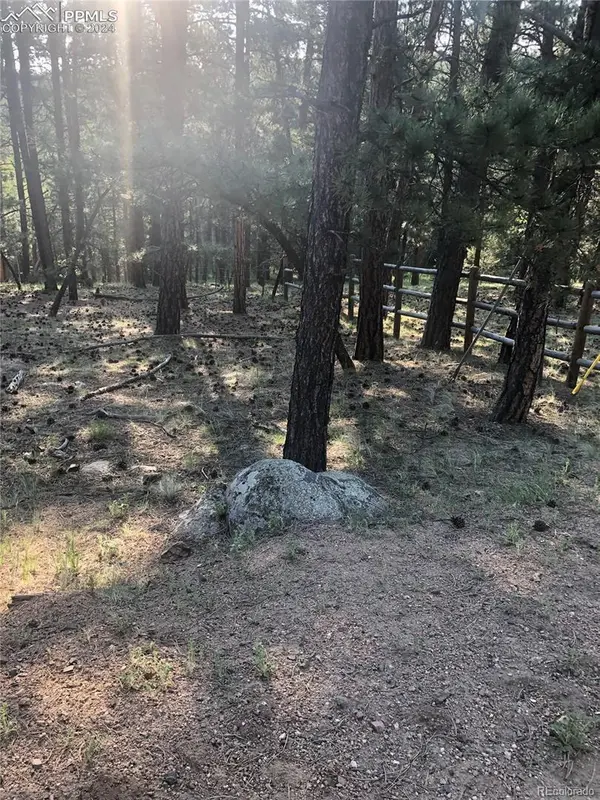 469 Echo Lake DR, Lake George, CO 80827