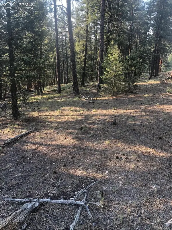 469 Echo Lake DR, Lake George, CO 80827